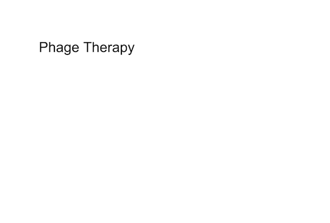 online tutoring assignment help typing proofreading